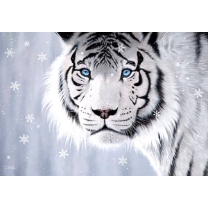 Anatolian 3613 - Crystal Eyes - 500 db-os puzzle