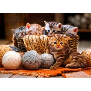 Bluebird 90264 - Kittens in Basket - 1000 db-os puzzle