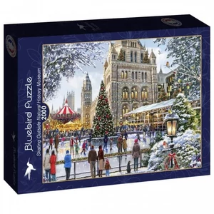 Bluebird 90527 -Skating Outside Natural History Museum - 2000 db-os puzzle 
