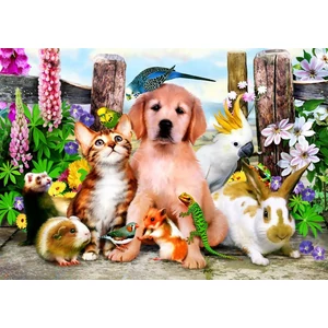 Bluebird 90127 - Good Companions - 500 db-os puzzle