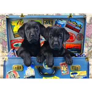 Bluebird 90053 - Travel Labs - Kids 48 db-os puzzle