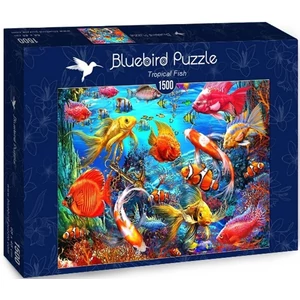 Bluebird puzzle 70192 - Tropical Fish - 1500 db-os puzzle