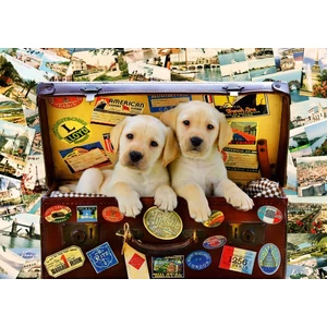 Bluebird puzzle 70237 - Two Travel Puppies - 1000 db-os puzzle