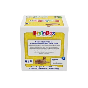 BrainBox - A világ városai (G1-13644)