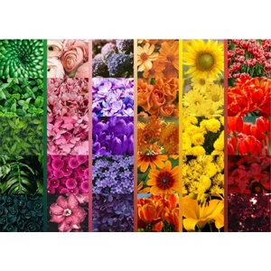 Brain Tree 2102092 - Flower grid - 1000 db-os puzzle