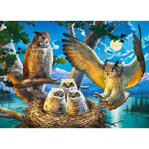 Castorland B-018437 - Bagoly család - 180 db-os puzzle