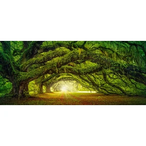 Castorland B-060030 - Panoráma puzzle - Passzázs - 600 db-os puzzle