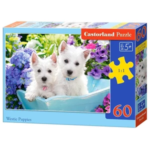Castorland B-066100 - Westie kölykök - 60 db-os puzzle