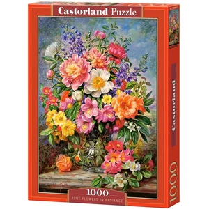 Castorland C-103904 - Júniusi virágok - 1000 db-os puzzle