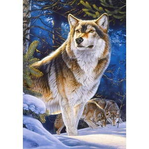 Castorland C-104062 - Őrszem - 1000 db-os puzzle