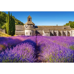 Castorland C-104284 - Levendula mező, Provence - 1000 db-os puzzle