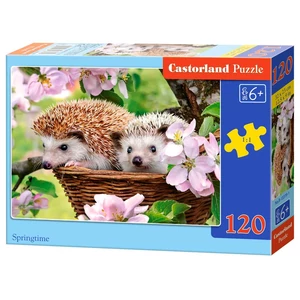 Castorland B-13319 - Tavaszi kikelet - 120 db-os puzzle