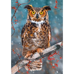 Castorland B-52387 - Amerikai uhu - 500 db-os puzzle