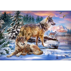 Castorland B-53049 - Farkasok birodalma - 500 db-os puzzle