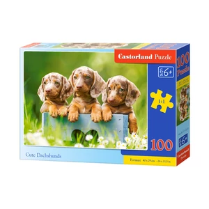 Castorland B-111213 - Aranyos tacskók - 100 db-os puzzle