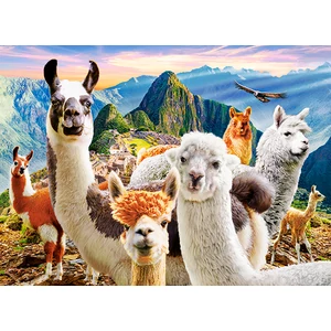 Castorland B-222193 - Láma szelfi - 200 db-os puzzle