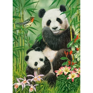 Castorland B-030507 - Panda Brunch - 300 db-os puzzle