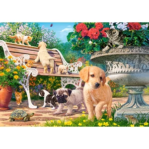 Castorland B-53636 - Bújócska - 500 db-os puzzle