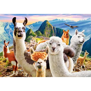 Castorland C-104758 - Lámák - 1000 db-os puzzle