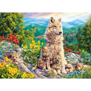 Castorland C-104420 - Új generáció - 1000 db-os puzzle