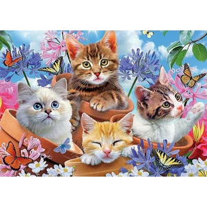 Castorland B-13524 - Cicák a virágok között - 120 db-os puzzle