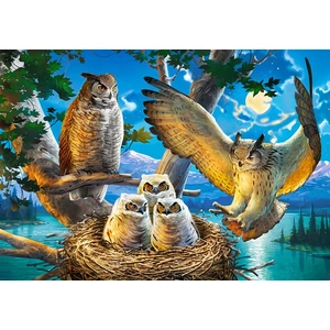 Castorland B-53322 - Bagoly család - 500 db-os puzzle