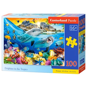 Castorland 100 db-os puzzle - Delfinek a trópusokon
