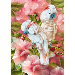 CherryPazzi 30493 - Tropic Spirits-Cockatoo - 1000 db-os puzzle