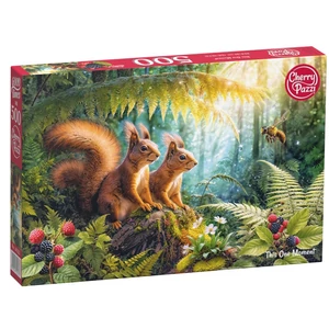 CherryPazzi 20333 - This One Moment - 500 db-os puzzle