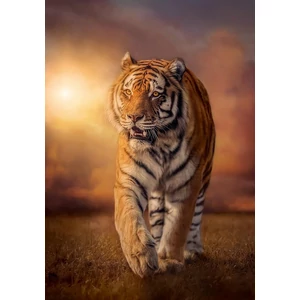 Clementoni 31806 - Tigris - 1500 db-os puzzle