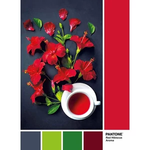 Clementoni 39494 - Pantone 186 - Hibiszkus tea - 1000 db-os puzzle