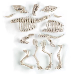 Clementoni 61253 - Archeofun - Világító Kardfogú tigris tudományos játék