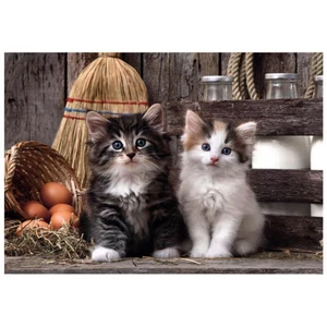 Clementoni 39943 - High Quality Collection - Lovely Kittens - 1000 db-os Compact puzzle