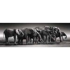Clementoni 39836 - High Quality Collection - Panoráma puzzle - Elefántcsorda - 1000 db-os puzzle 