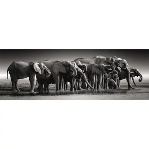 Clementoni 39895 - High Quality Collection - Panoráma Compact - Herd Of Gigants - 1000 db-os puzzle
