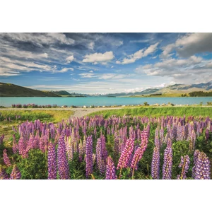 Clementoni 31731 - High Quality Collection - Lupins at lake Tekapo - 1500 db-os puzzle