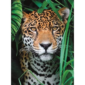 Clementoni 500 db-os puzzle - High Quality Collection Jaguár a Dzsungelben (35127)