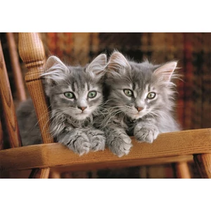 Clementoni 35580 - High Quality Collection - Kittens - 500 db-os Compact puzzle
