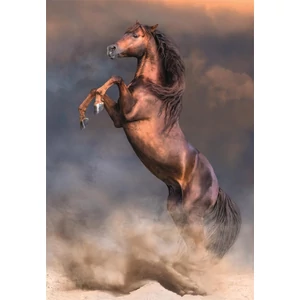 Clementoni 35595 - High Quality Collection - Wild Red Stallion - 500 db-os Compact puzzle
