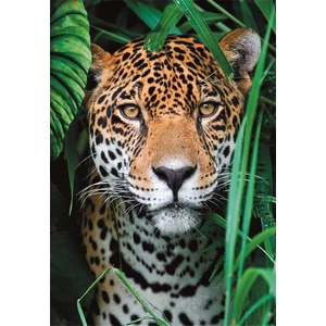 Clementoni 35541 - High Quality Collection - Jaguár - 500 db-os Compact puzzle