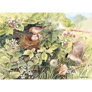 Cobble Hill 40162 - Hidden Nest - 1000 db-os puzzle