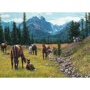 Cobble Hill 40156 - Horse Meadow - 1000 db-os puzzle