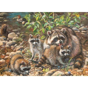 Cobble Hill 54607 - Raccoon Family - 350 db-os Family puzzle