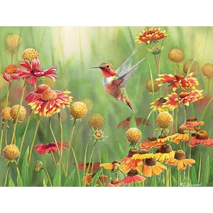 Cobble Hill 45040 - Rufous Hummingbird - 500 db-os puzzle