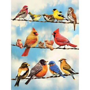 Cobble Hill 45046 - Birds on a Wire - 500 db-os puzzle