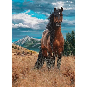 Cobble Hill 40190 - Freedom - 1000 db-os puzzle