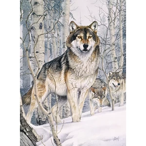 Cobble Hill 40143 - Second Glance - 1000 db-os puzzle