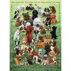 Cobble Hill 47007 - Puppy Love - 350 db-os Family puzzle