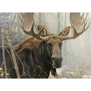 Cobble Hill 45051 - Bull Moose - 500 db-os puzzle