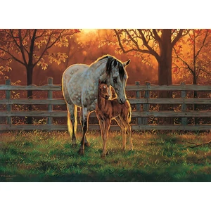 Cobble Hill 45002 - Quiet Time - 500 db-os puzzle - Quiet Time